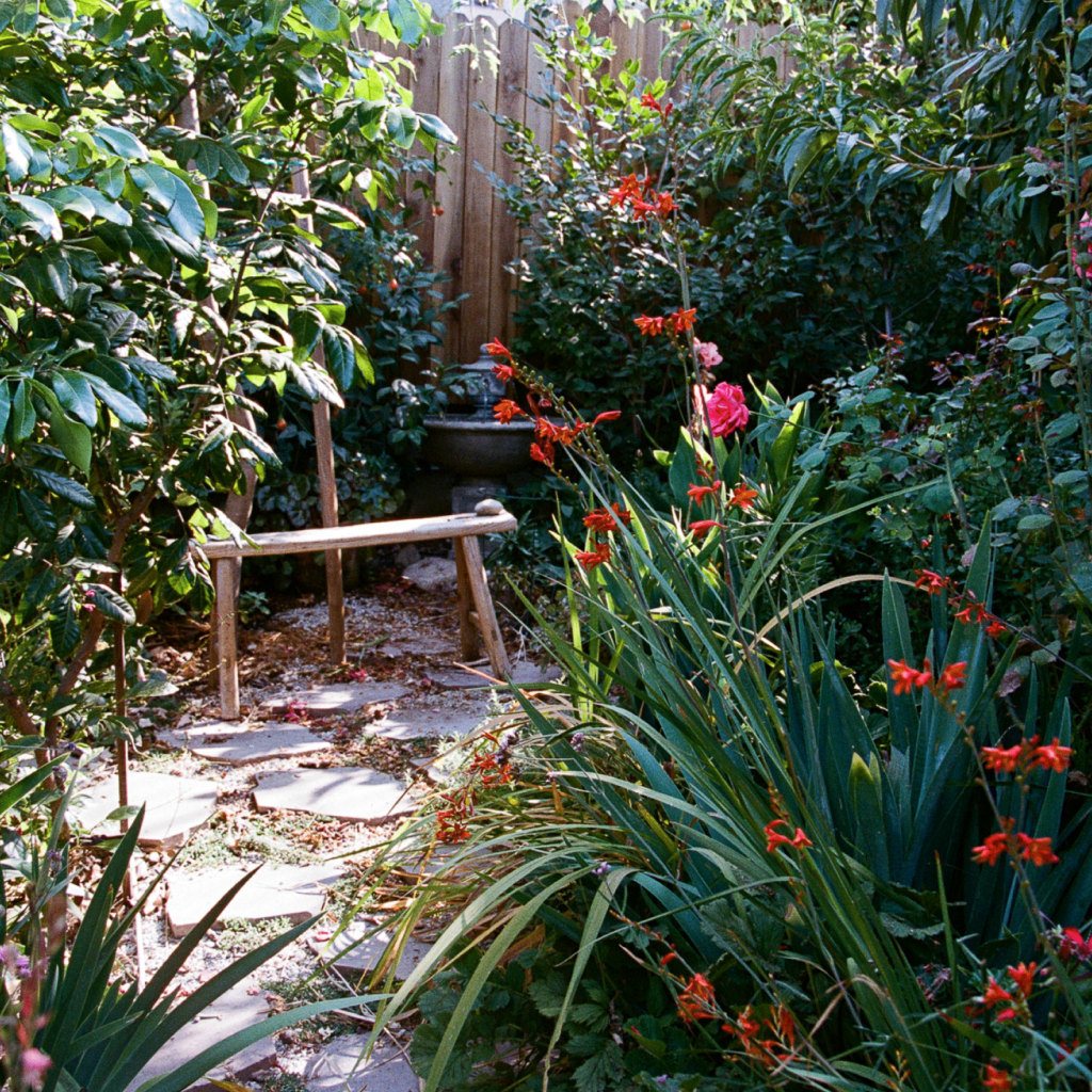 Mimi Lauter Garden 1